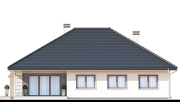 Visualization gallery - One-storey house with an open spacious terrace