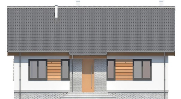 Visualization gallery - One-storey house with a living area of 100 squares